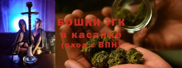 твердый Арсеньев