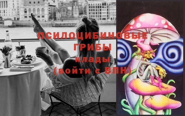 метадон Армянск
