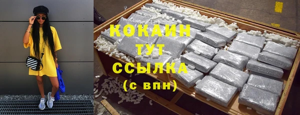 твердый Арсеньев